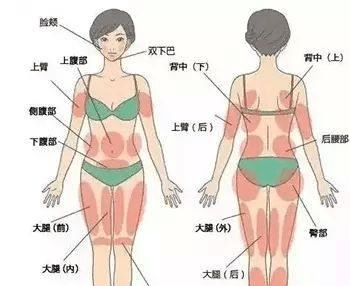 中国财经时报网