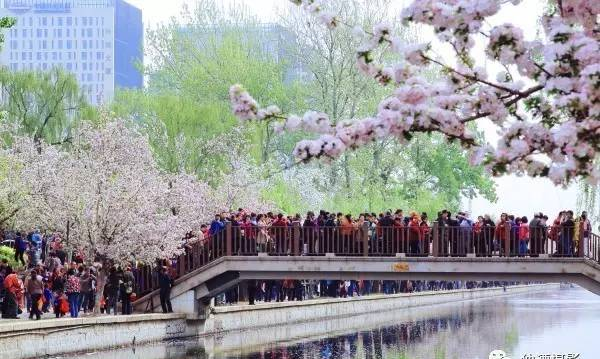 安康市高新国际中学