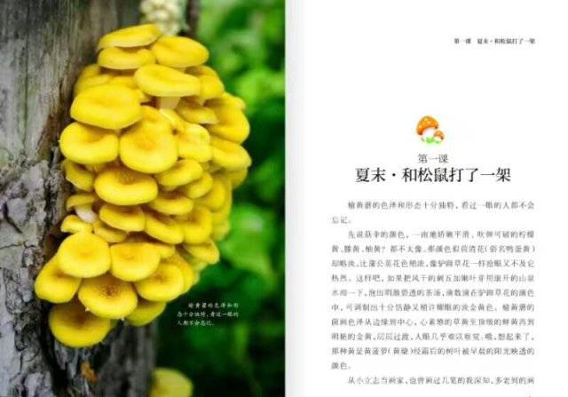 许华升