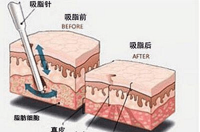 中国财经时报网