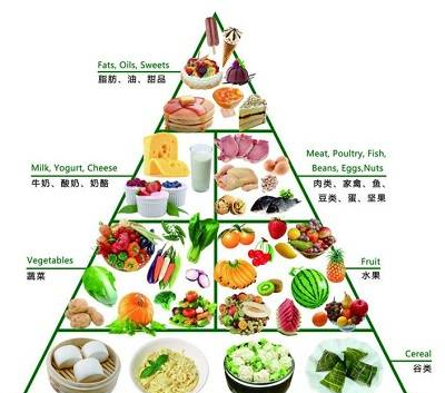健康饮食的营养金字塔，你今天的饮食均衡吗