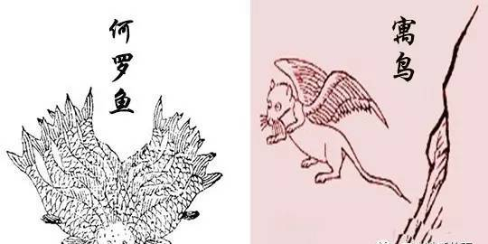 《山海经》异兽奇鸟之——何罗鱼、孟槐、鰼鰼鱼、寓鸟