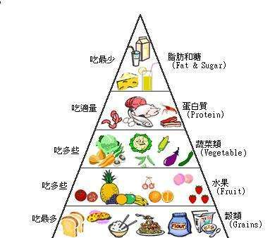 健康饮食的营养金字塔，你今天的饮食均衡吗