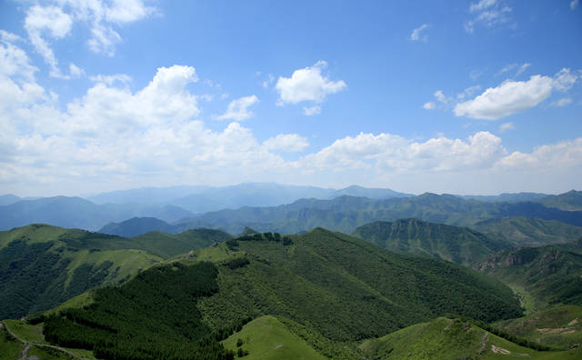 北京周边最美的山——西灵山，高山草甸花开