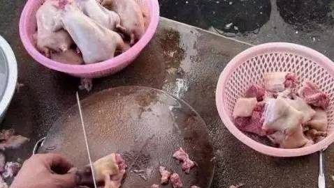 老鼠肉冒充羊肉！回忆夏天，你的羊肉串还好吗？