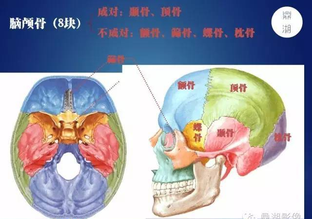 体育设施网