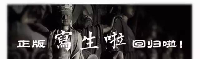 夏俊娜：不停的画画，这就是我的职业