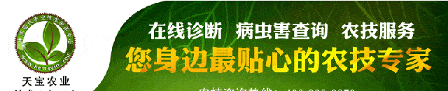 川贝母为啥价格这么高！