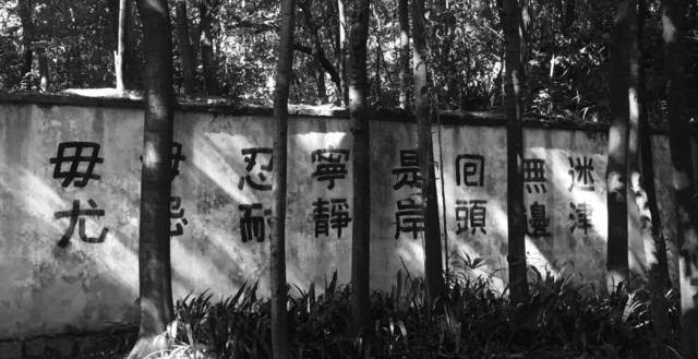 集中营往事——写在忘却前