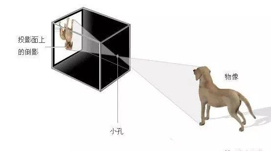 南京大学网络教育学院