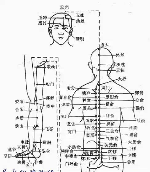 广州市百度数码电子有限公司