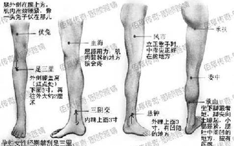 广州市百度数码电子有限公司