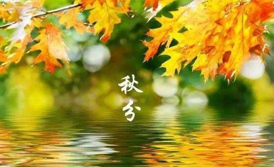 21天，到底能做什么？