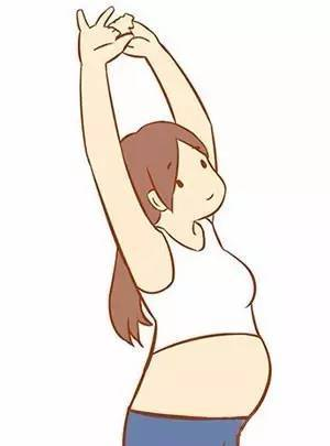 孕妇体操三式