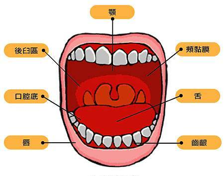 八招远离口底癌，速度收藏