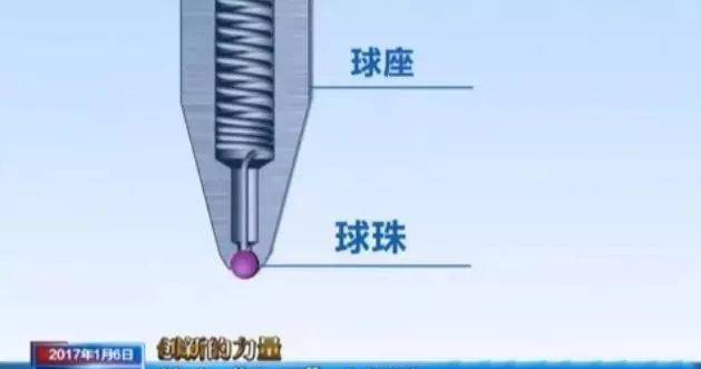 东城迅雷狗狗书籍