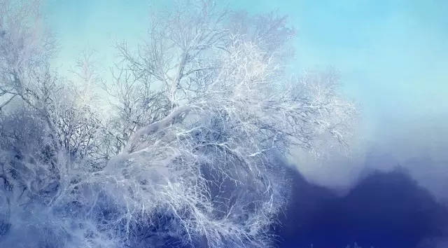 青铜神树丨一树一世界