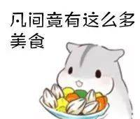 七星酒店网