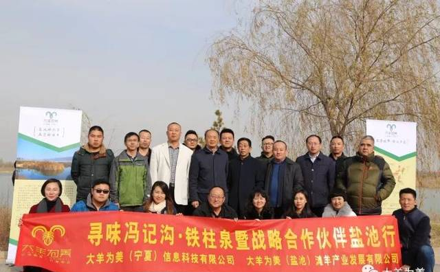 盐池滩羊背后惊人的真相！原来我们被骗了这么多年…