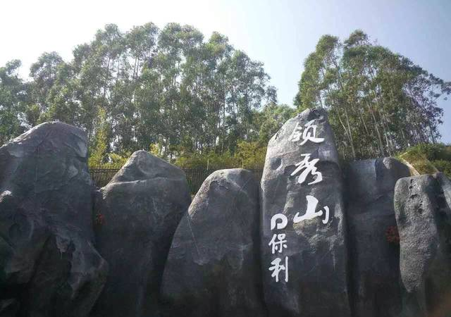 独家丨文乐，祝福你，我不后悔当初选择林秀山