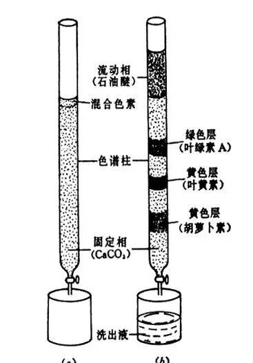 乐水网