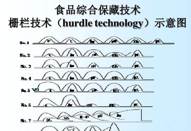 中国黄页网