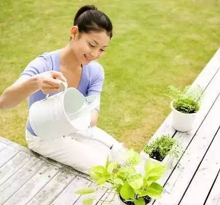 洗米水的妙用！洗米水你知道多少？