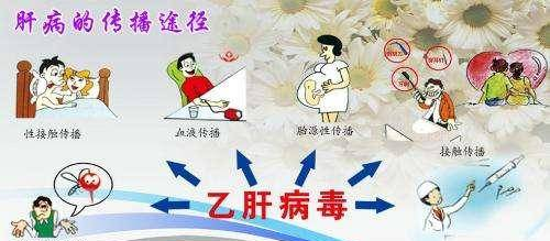 乙肝病毒传播途径只有三种吗？