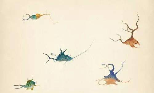「松社我来讲」设计大师朱赢椿再现颠覆之作：便形鸟是个什么鸟？