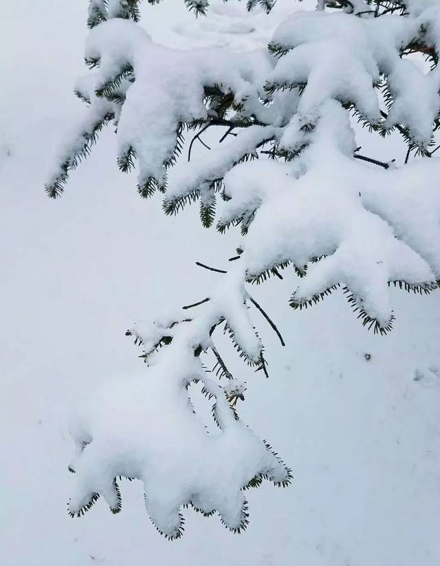 2008年的那一场雪灾，时隔十年了，你还记得吗?