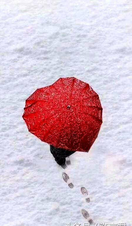 丰年好大雪，四大名著里关于大雪的桥段，你还记得哪个？