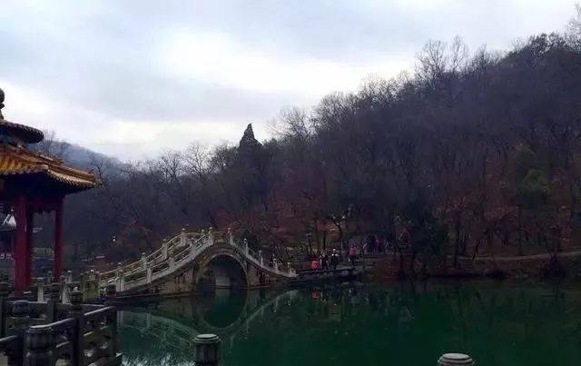 模板天下