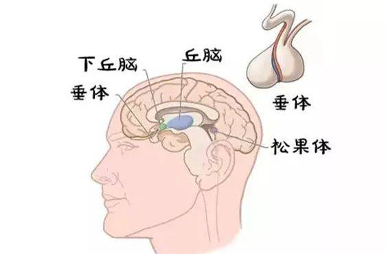 新浪竞技风暴