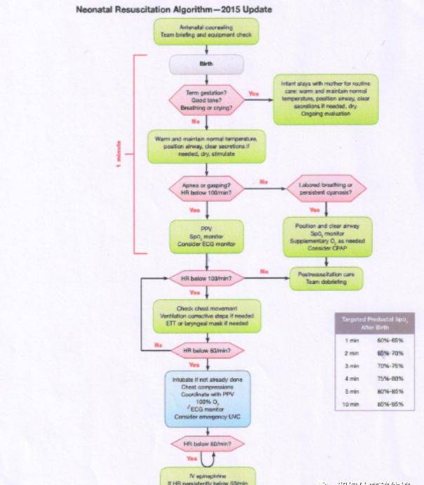 新生儿窒息复苏指南（2016）更新及要点