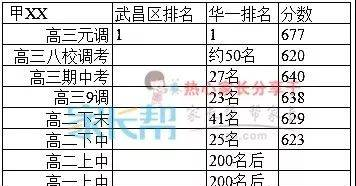 项目吧