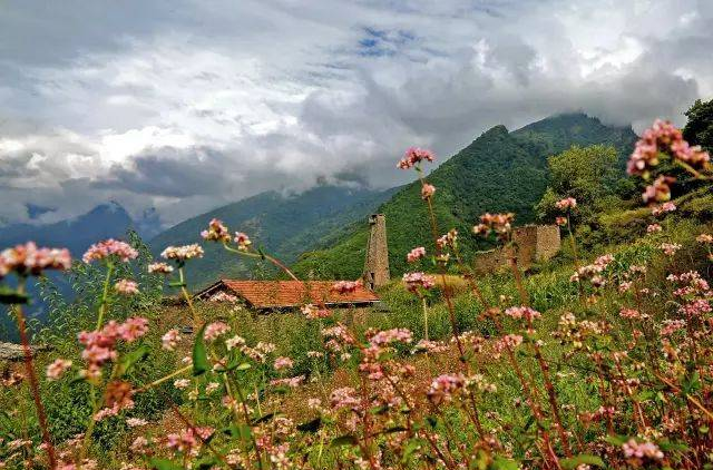 中国乡村旅游住宿网