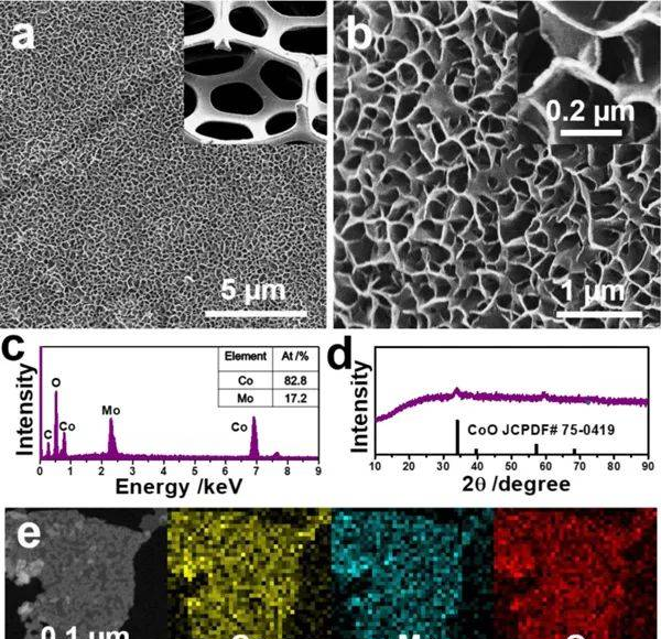 苏州大学黄小青Nano Energy：钴钼纳米片阵列作为高效且稳定的电极催化剂，用于整体水分解