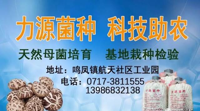 远安论坛的女儿，天堂那里没有痛苦，一路走好！