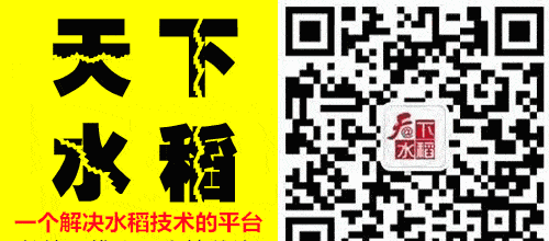 水稻病虫害图谱（完全版，一定要收藏！）