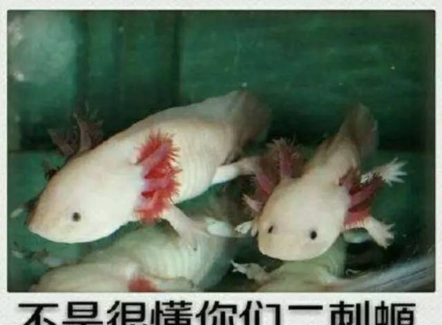 瀛洲生态公园
