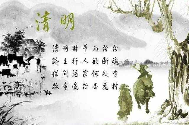 模板天下