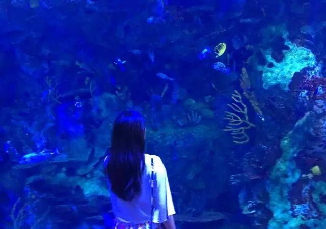 3分钟弄懂卫生棉条是什么？怎么使用？适合哪些人？| 女生必读