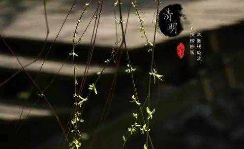 模板天下