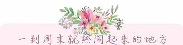郑州咪猫科技有限公司