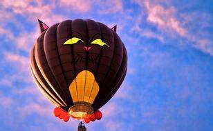热气球内部结构和飞行原理是什么？