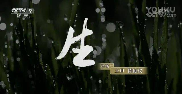 生机|舌尖上的中国第三季（第7集）