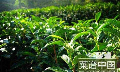 白毫银针茶有什么功效？