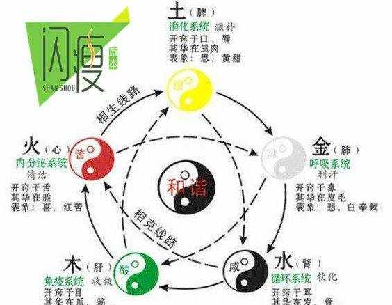 从个人体质问题说减肥，脾虚湿阻型肥胖怎么办？