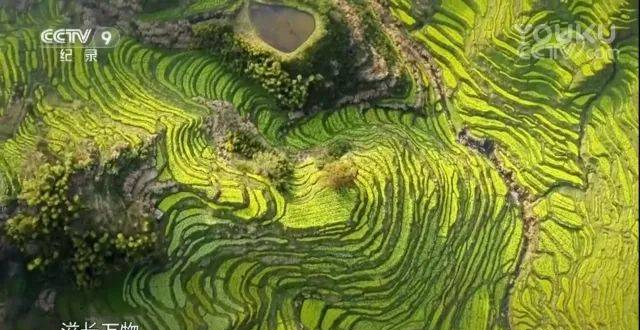 菏泽协和医院