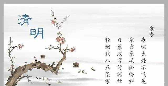 模板天下